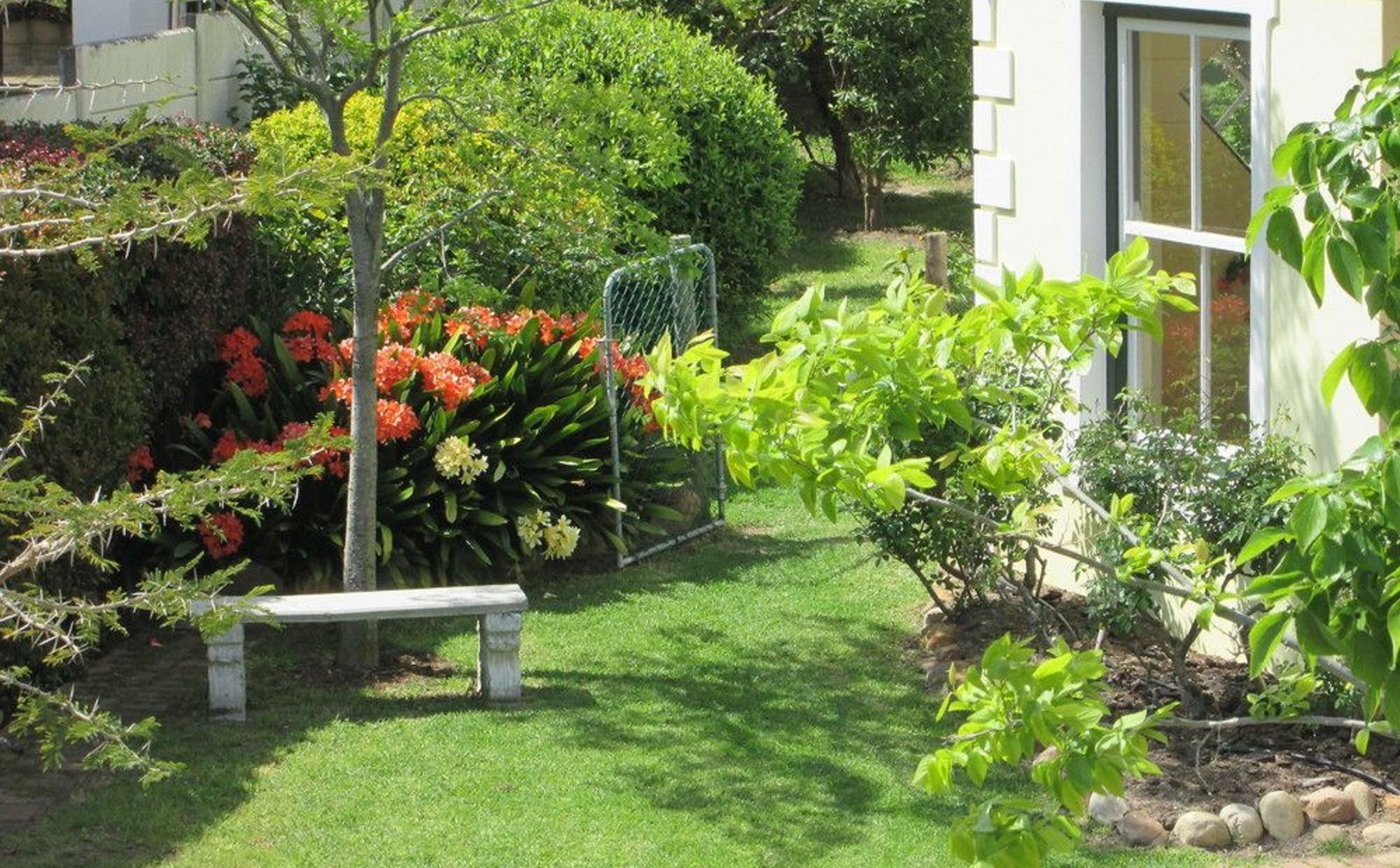 Villa-Roux Garden Cottage فرانستشوك المظهر الخارجي الصورة